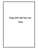 Sáng mắt nhờ hoa cúc vàng