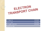 Electron transport chain