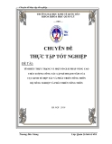 Luận văn: Tìm hiểu thực trạng và một số giải pháp nâng cao chất lượng công tác lập kế hoạch của Cục KTHT PTNT bộ NNPTNT