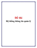 Đề thi Hệ thống thông tin quản lý