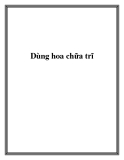 Dùng hoa chữa trĩ