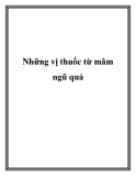 Những vị thuốc từ mâm ngũ quả