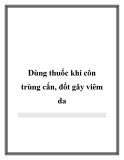 Dùng thuốc khi côn trùng cắn, đốt gây viêm da