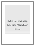 DelStress Giải pháp toàn diện đánh bay Stress