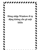 Đăng nhập Windows 8 tự động không cần gõ mật khẩu