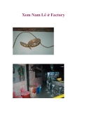 Xem Nam Lê ở Factory