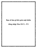 Bạn sẽ làm gì khi quên mật khẩu đăng nhập Mac OS X – P.1