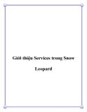 Giới thiệu Services trong Snow Leopard