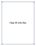 Chạy IE trên Mac