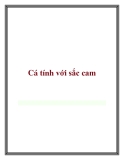 Cá tính với sắc cam