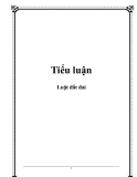 Tiểu luận:  Luật đất đai
