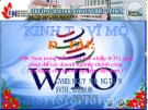 Đề tài: Việt Nam trong tiến trình hội nhập WTO, giải pháp để các doanh nghiệp thành công ( áp dụng cho doanh nghiệp việt nam