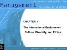 Management-CHAPTER 3 The International Environment: Culture, Diversity, and Ethics