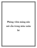 Phòng viêm màng não mô cầu trong mùa xuân hè