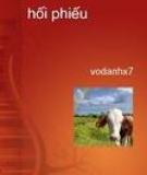 Tìm hiểu về hối phiếu
