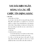 VAY DÀI HẠN NGÂN HÀNG VÀ CÁC TỔ CHỨC TÍN DỤNG KHÁC