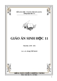 GIÁO ÁN SINH HỌC 11