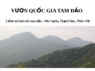 DU LỊCH VƯỜN QUỐC GIA TAM ĐẢO