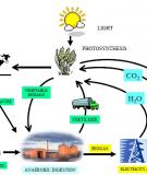 Luận Văn: Tình hình và giải pháp sử dụng hầm ủ Biogas