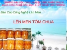 Lên men tôm chua