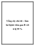 Uống cây chó đẻ – làm lui bệnh viêm gan B với tỉ lệ 59 %