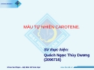 MÀU TỰ NHIÊN CAROTENE