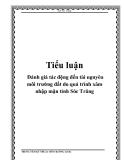 Tiểu luận: Đánh giá tác động đến tài nguyên môi trường đất do quá trình xâm nhập mặn tỉnh Sóc Trăng