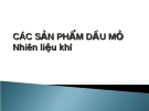 Các sản phẩm dầu mỏ - Nhiên liệu khí