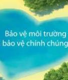 Thực trạng ô nghiễm tài nguyên đất và các giải pháp khắc phục ở nước ta hiện nay.