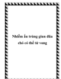 Nhiễm ấu trùng giun đũa chó có thể tử vong