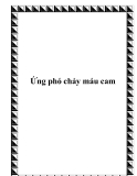 Ứng phó chảy máu cam