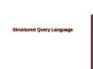 Structured Query Language