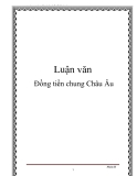 Luận văn: Đồng tiền chung Châu Âu