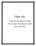 Luận văn: Tổng hợp về hệ thống Tài chính công và nhận xét hệ thống tài chính công ở Việt Nam