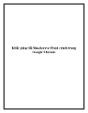 Khắc phục lỗi Shockwave Flash crash trong Google Chrome