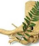 Mật nhân, thực hư lời đồn “thần dược”