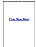 Chức Năng Kênh