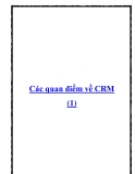 Các quan điểm về CRM (1)