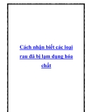 Cách nhận biết các loại rau đã bị lạm dụng hóa chất