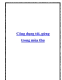 Công dụng tỏi, gừng trong mùa thu