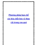 Phương pháp hạn chế các hóa chất bảo vệ thực vật trong rau quả