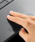 Vô hiệu hóa touchpad của laptop và netbook