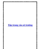 Tập trung vào sở trường đạt tới