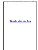 Tôn chỉ sống của bạn