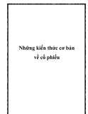 Những kiến thức cơ bản về cổ phiếu