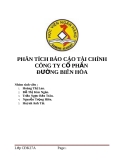 PHÂN TÍCH BÁO CÁO TÀI CHÍNH CÔNG TY CỔ PHẦN ĐƯỜNG BIÊN HÒA