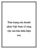 Tâm trạng của doanh nhân Việt Nam về công việc của bản thân hiện nay