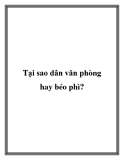 Tại sao dân văn phòng hay béo phì