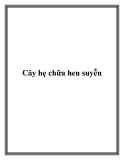 Cây hẹ chữa hen suyễn