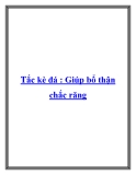 Tắc kè đá : Giúp bổ thận chắc răng